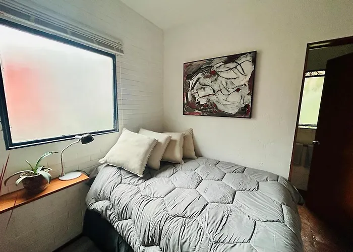 Elegant And Artsy Independent In Condesa Mexico