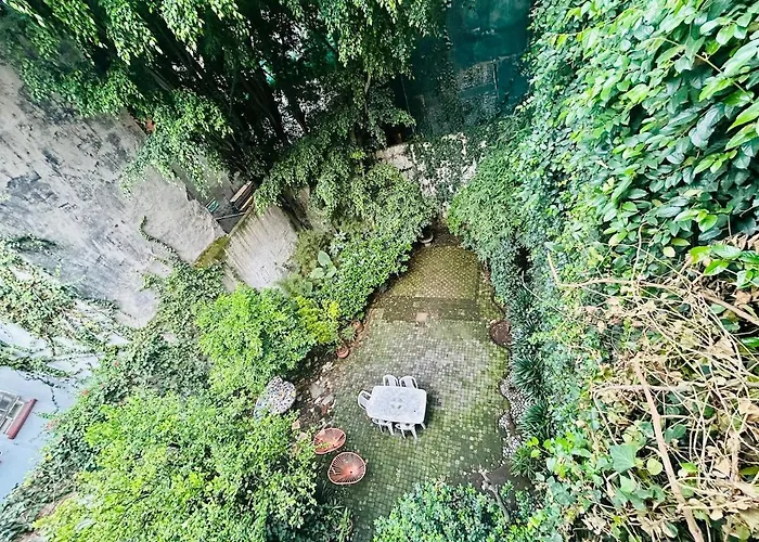 Elegant And Artsy Independent In Condesa