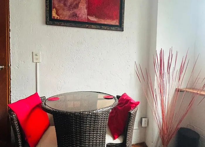 Elegant And Artsy Independent In Condesa Mexico